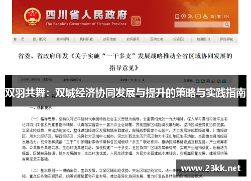 双羽共舞：双城经济协同发展与提升的策略与实践指南
