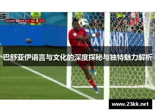 巴舒亚伊语言与文化的深度探秘与独特魅力解析