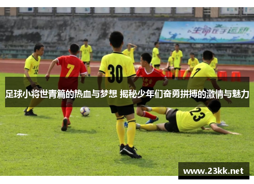 足球小将世青篇的热血与梦想 揭秘少年们奋勇拼搏的激情与魅力