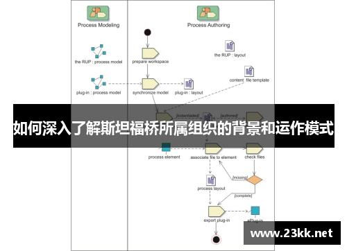 如何深入了解斯坦福桥所属组织的背景和运作模式
